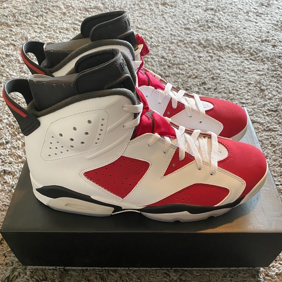 Air Jordan Carmine 6 size 10.5